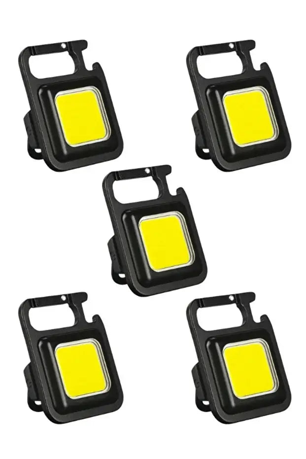Set 5 lanterne breloc USB C, 30 LED uri, pentru camping si exterior