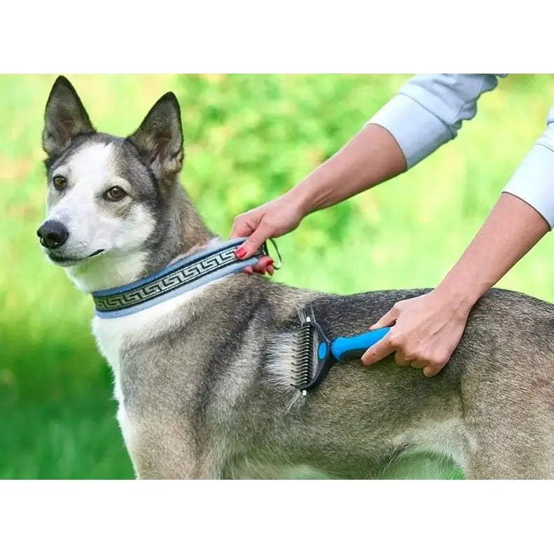 Pieptene animale – dispozitiv de îngrijire cu două fețe, albastru